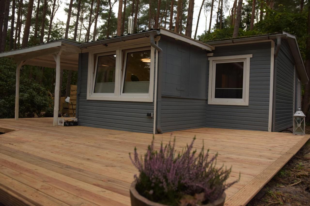 Allerlichtung Buchholz Luaran gambar
